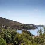 Rea *